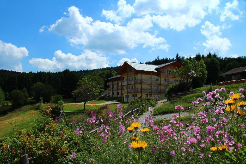 Berghotel Mooshuette Lohberg Dış mekan fotoğraf