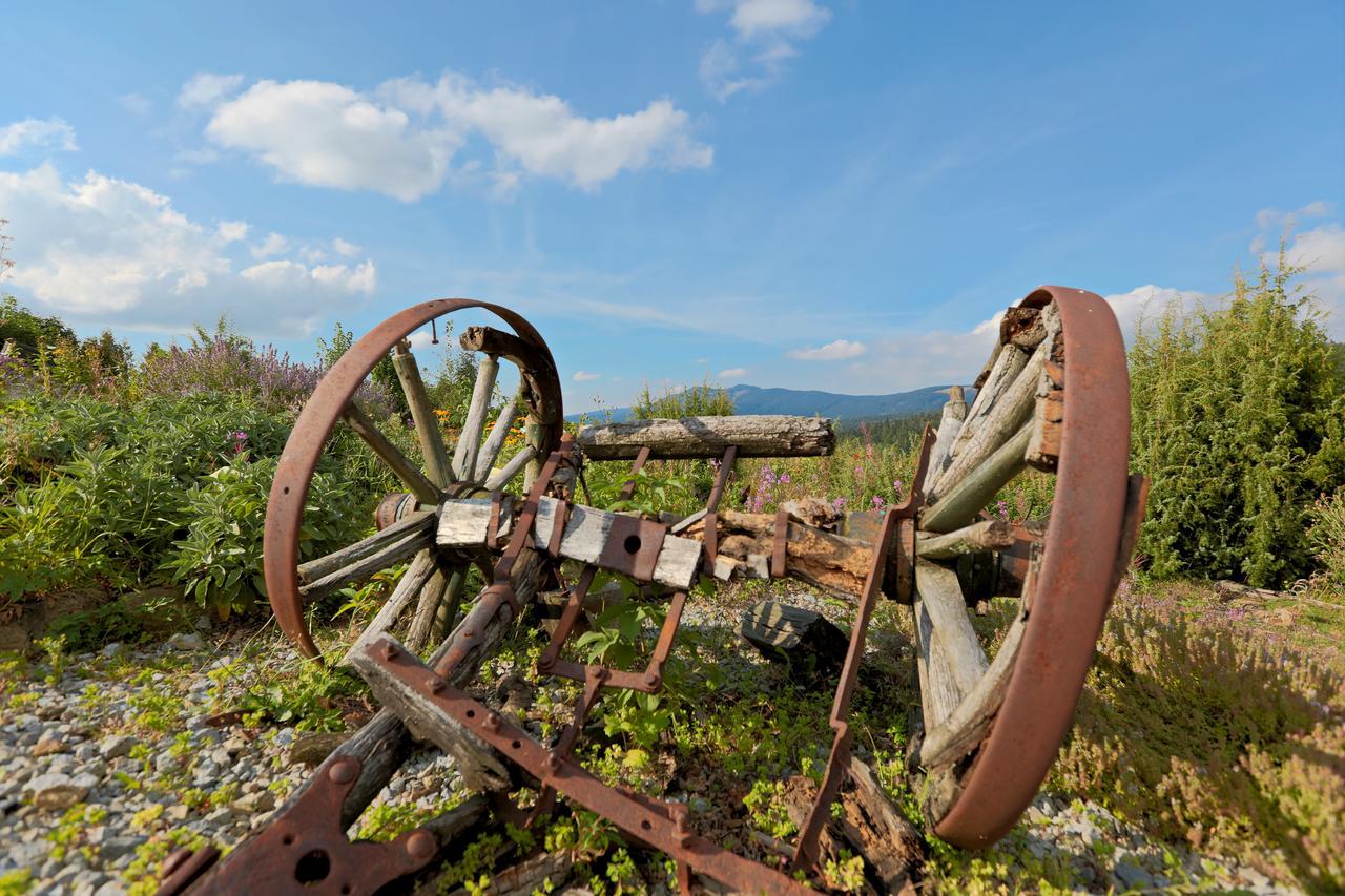 Berghotel Mooshuette Lohberg Dış mekan fotoğraf
